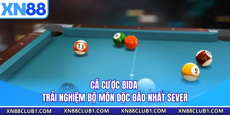 Cá Cược Bida - Trải Nghiệm Bộ Môn Độc Đáo Nhất Sever