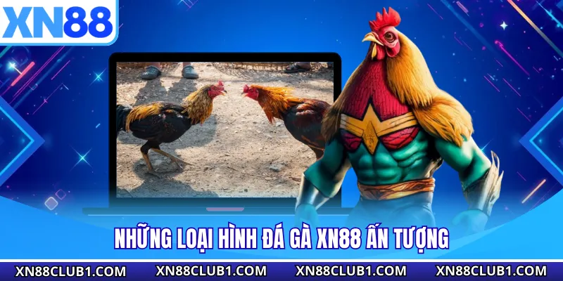 Những loại hình đá gà XN88 ấn tượng